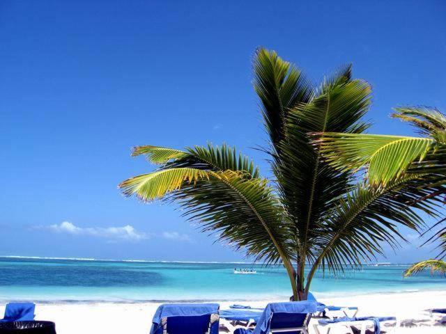 Larimar Beach Punta Cana Hotel Екстериор снимка
